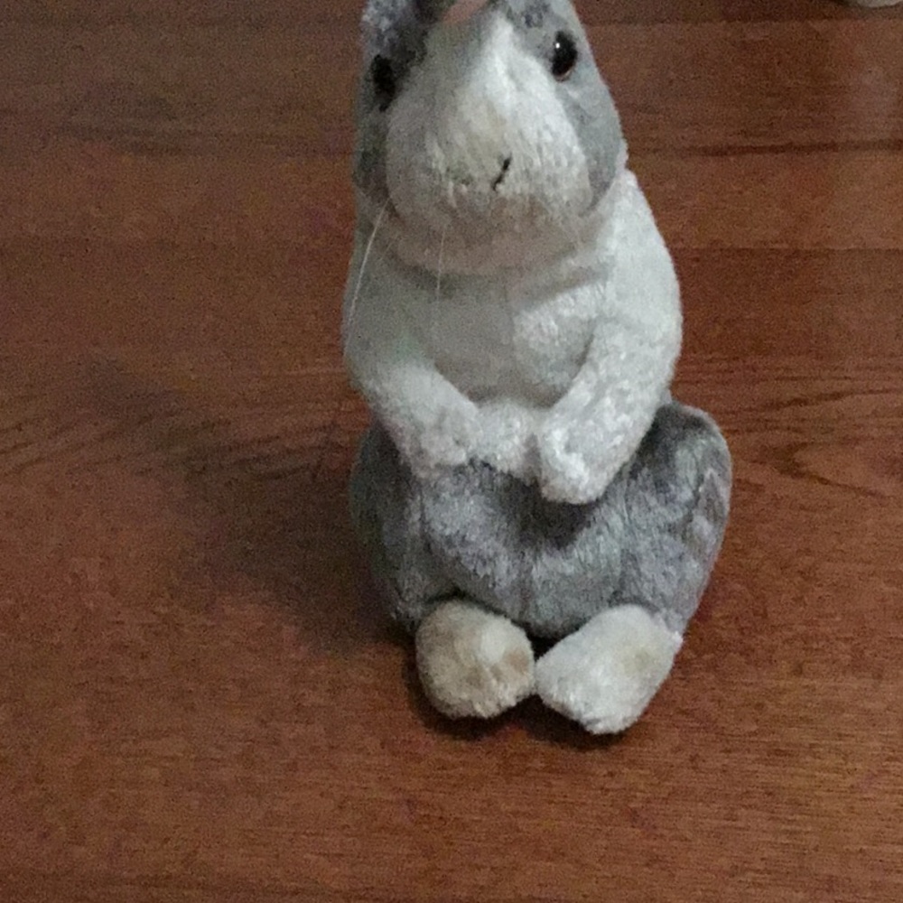 Bunny